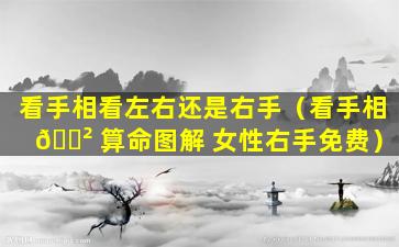 看手相看左右还是右手（看手相 🌲 算命图解 女性右手免费）